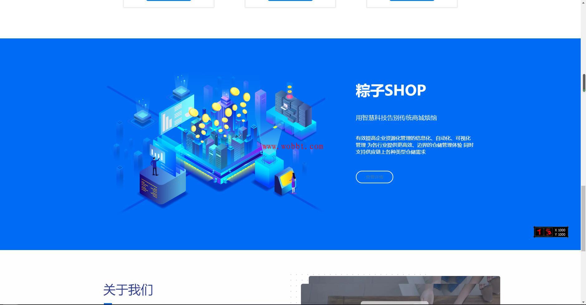 最新粽子实物商城纯净官网展示源码 无后台-大大鹏源码网
