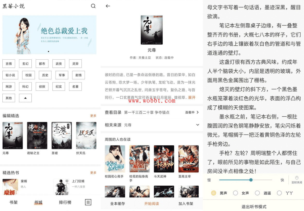 安卓黑莓小说v1.3.1绿化版-大大鹏源码网