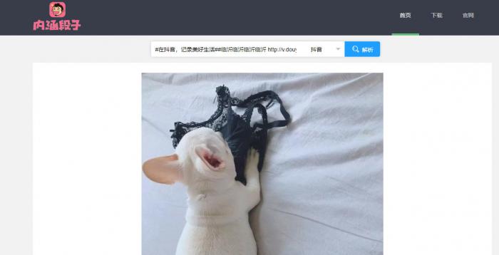 短视频无水印解析源码半开源分享-大大鹏源码网