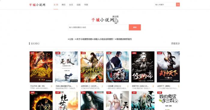 《娴娴小说》自动采集小说网站源码-大大鹏源码网