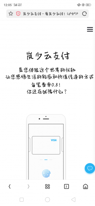 价值600元的岚少云支付网站源码-大大鹏源码网