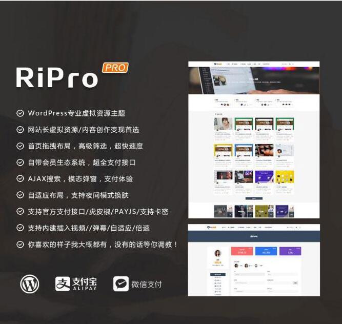 图片[1]-最新WP+RiPro主题PJ版 功能强大-大大鹏源码网