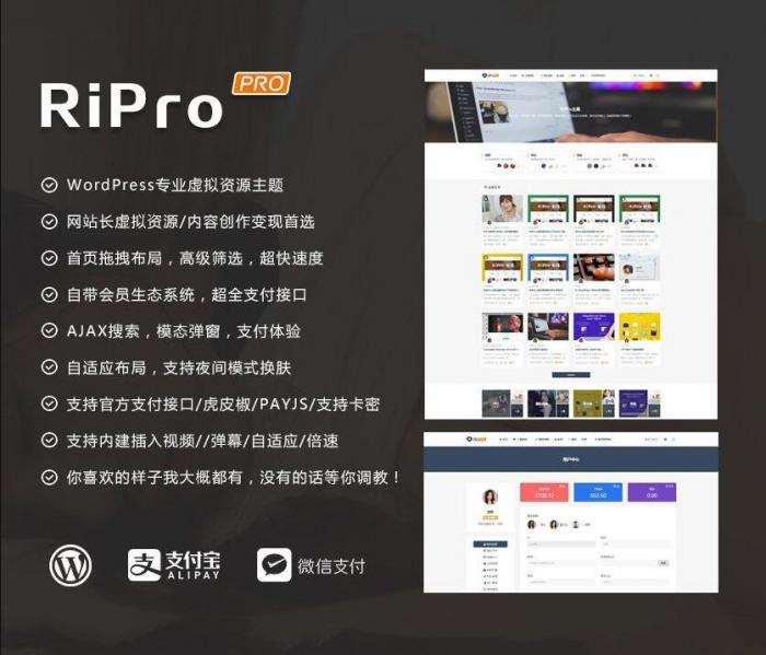 RIPro主题 v7.2 免授权修复后门完美版-大大鹏源码网