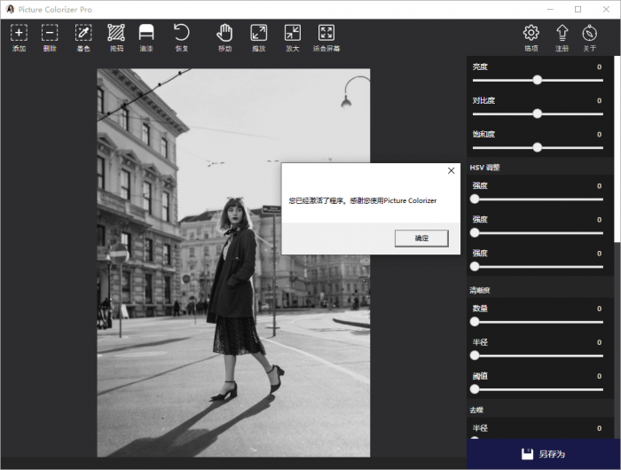 Picture Colorizer v2.4.0-大大鹏源码网