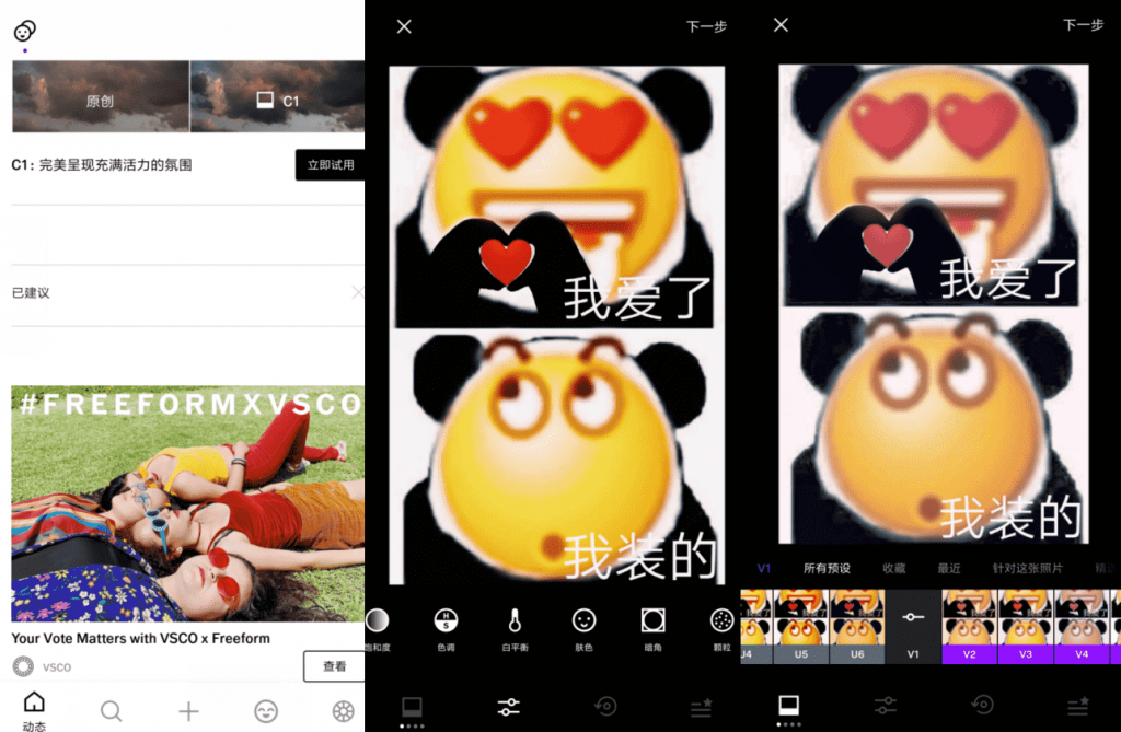 专业版VSCO_v213 全部滤镜解锁-大大鹏源码网