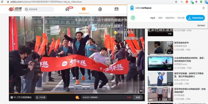 浏览器网页视频下载Video Octopus插件-大大鹏源码网