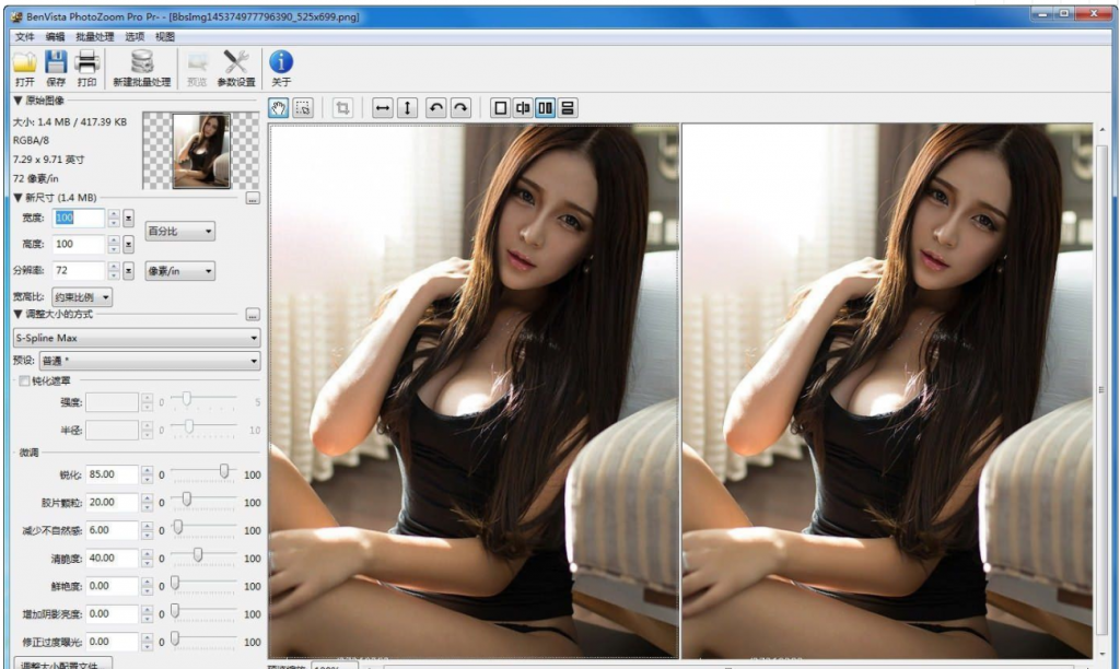 PhotoZoom破解专业版-图像无损放大工具-大大鹏源码网