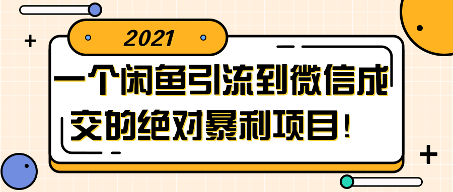 闲鱼引流到微信成交的绝对暴利项目！【视频教程】-大大鹏源码网