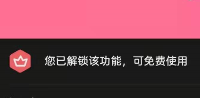 梅花视频 画中画 4K蓝光画质 无广告无需会员-大大鹏源码网