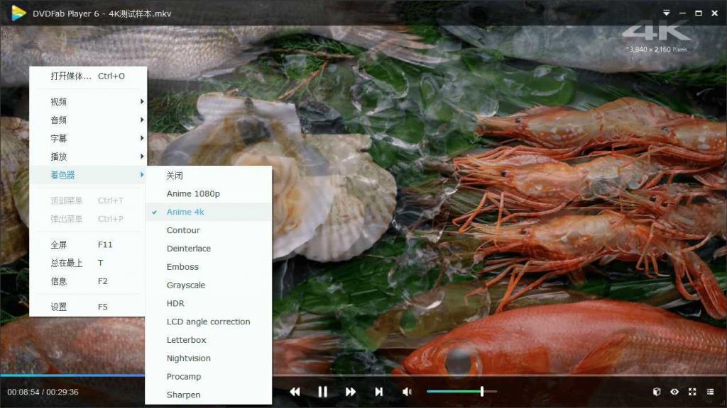 DVDFab Player v6.1.1高级版-大大鹏源码网