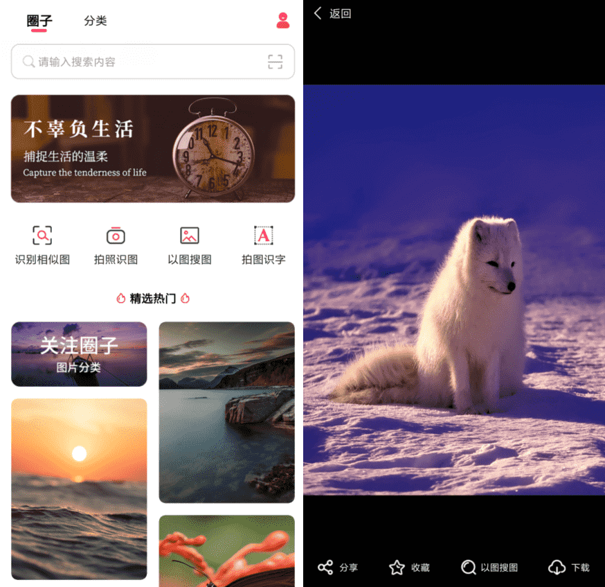 以图搜图v1.0.0纯净版-大大鹏源码网
