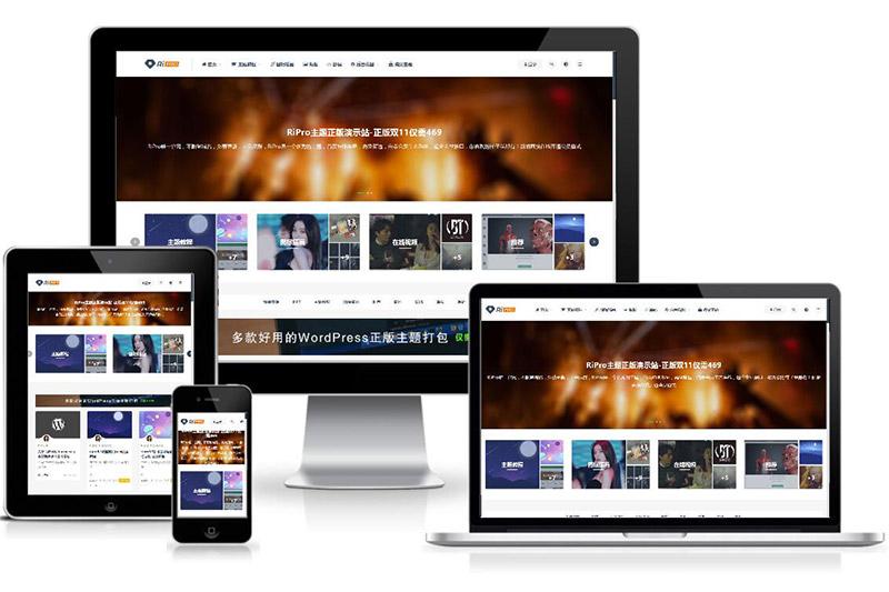 WordPress付费资源下载主题：ripro8.7最新破解版-大大鹏源码网
