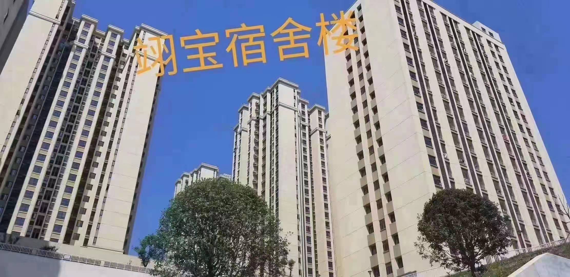 图片[5]-重庆翊宝 高工价 月薪资6000-7500-大大鹏源码网
