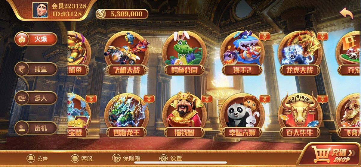 无错运营级别逍遥娱乐,2021最新大富豪,二开增加多款子游戏,双端完整组件-大大鹏源码网