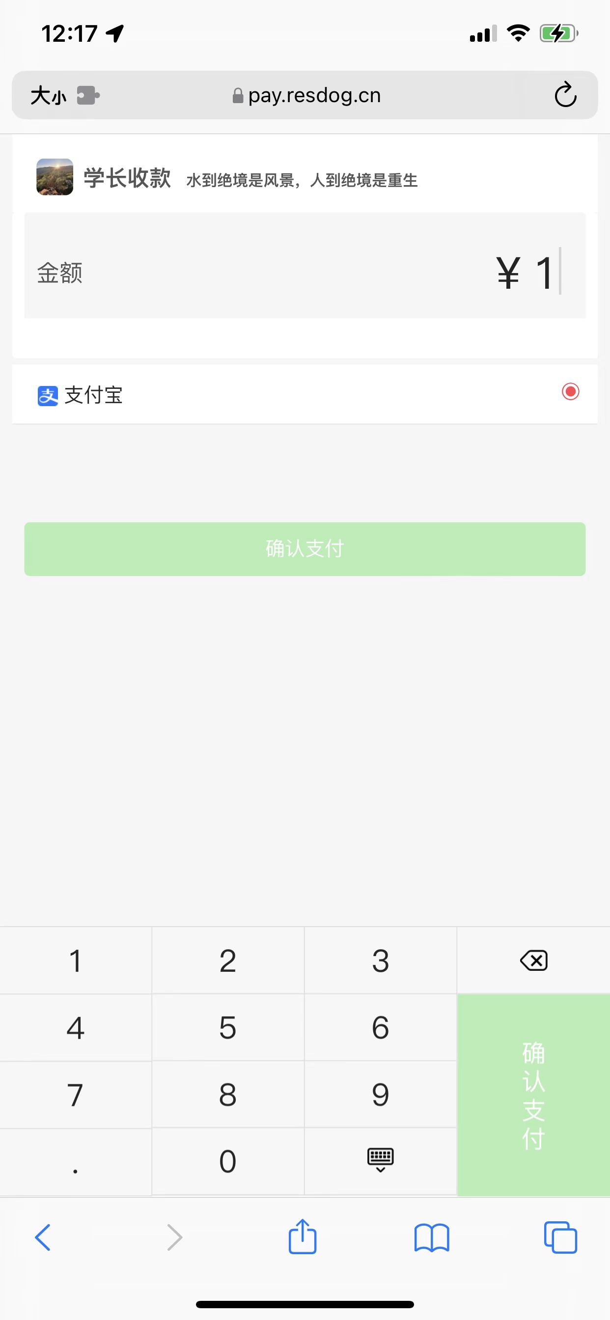 [网站源码] 个人收款页面-大大鹏源码网