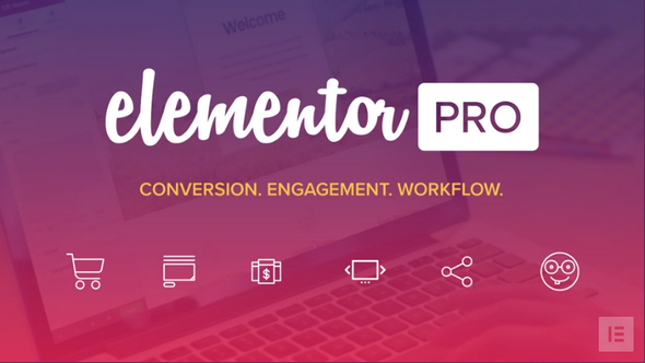 【Elementor Pro v2.10.0】WordPress插件+弹窗生成器+主题生成器+可视化拖拽编辑器插件+300多个Designer Made模板+专业版-大大鹏源码网