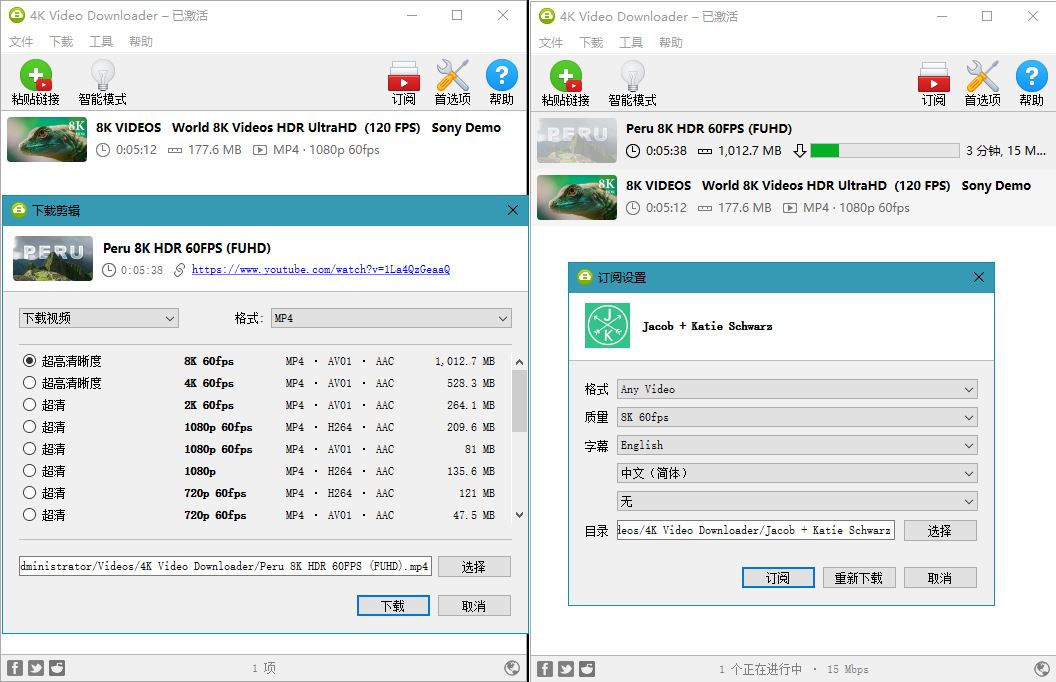 油管高清视频下载利器4K Video Downloader v4.20.4-大大鹏源码网