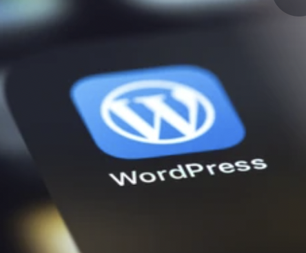 WordPress建站论坛-WordPress建站版块-自我提升-大大鹏源码网