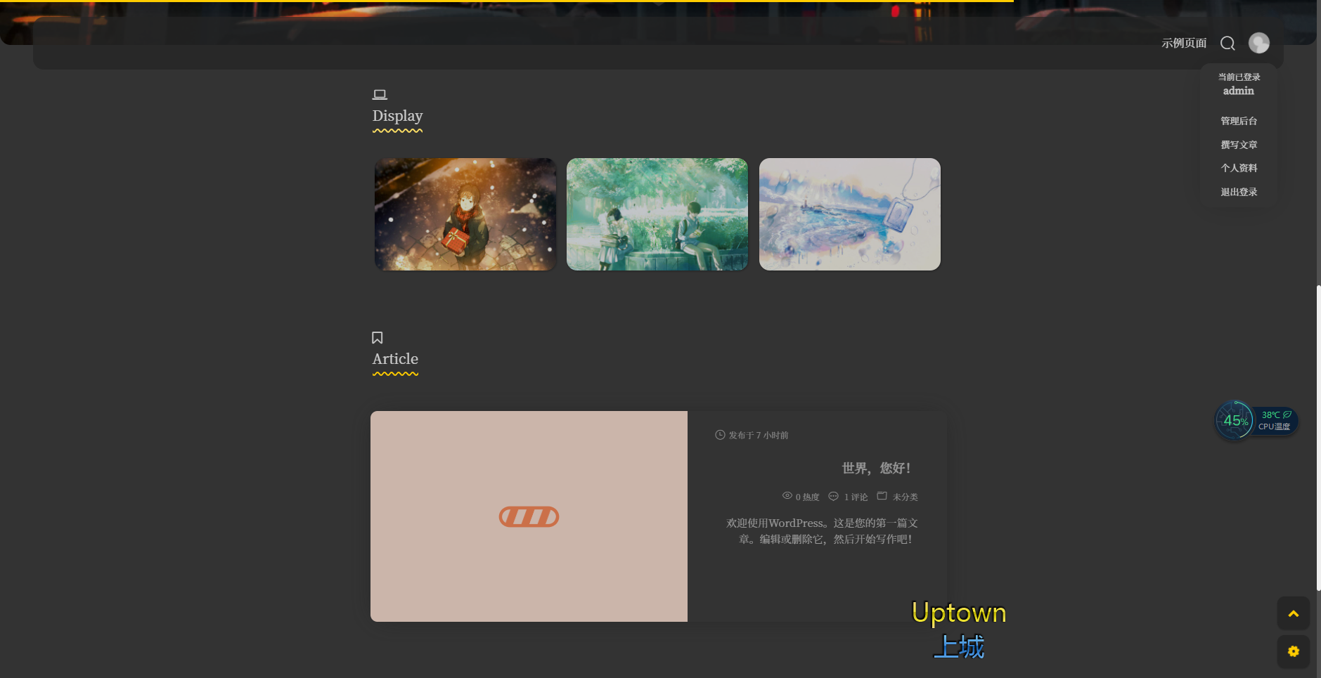 图片[2]-D1069 二次元简约风格Sakurairo主题 WordPress主题模板源码-大大鹏源码网