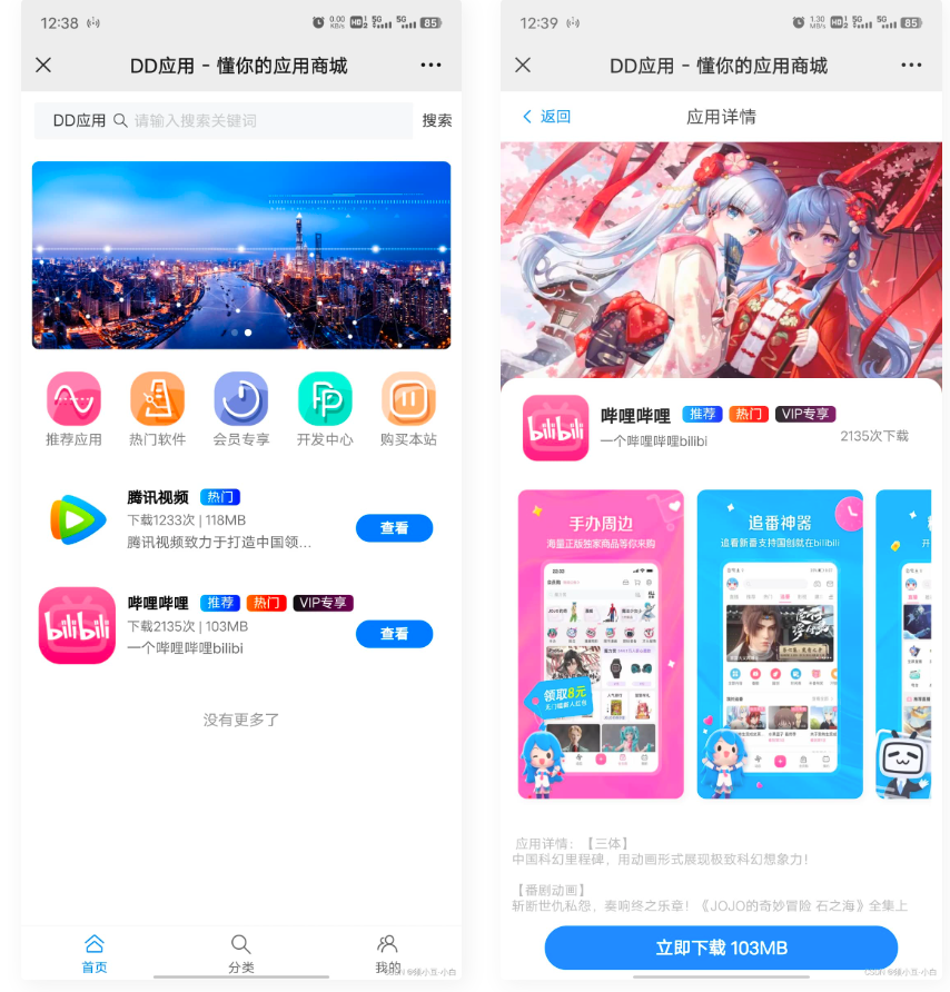 D1112 DD应用系统软件库网站源码-大大鹏源码网